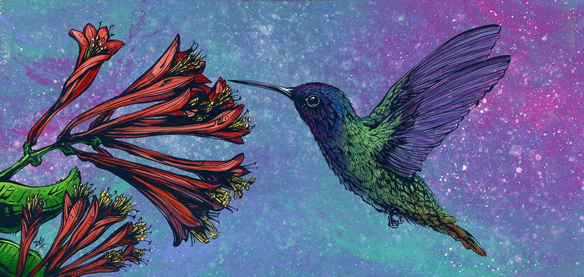 The Hummingbird by Day of the Dead Artist David Lozeau, Day of the Dead Art, Dia de los Muertos Art, Dia de los Muertos Artist