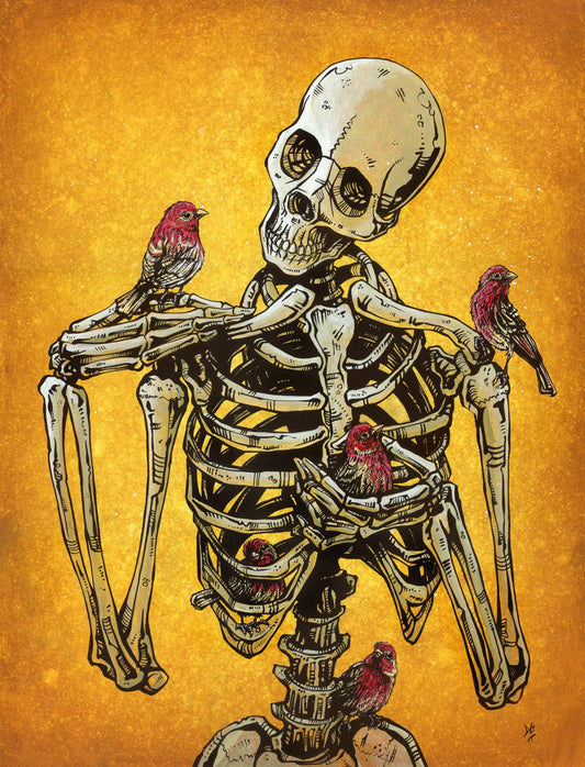 Birds of a Feather (DARTS) - David Lozeau