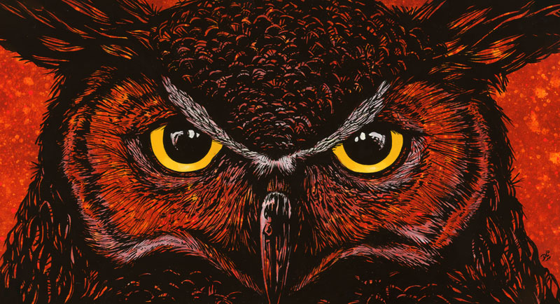 Intense Owl Painting by David Lozeau