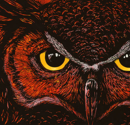 Intense Owl Art by David Lozeau